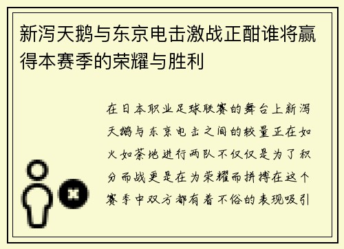 新泻天鹅与东京电击激战正酣谁将赢得本赛季的荣耀与胜利
